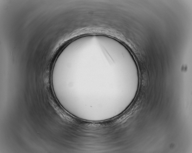 X0000098171499200805151104