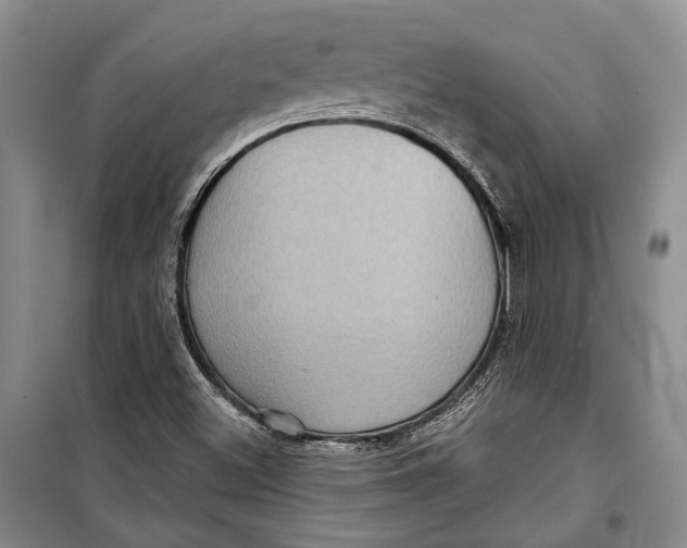 X0000098171500200805151104