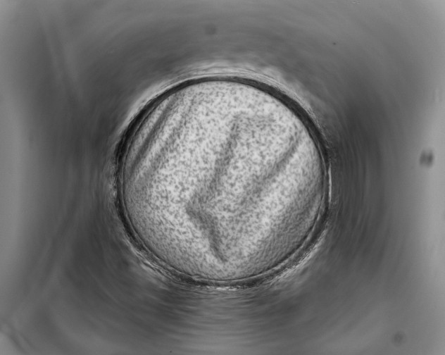 X0000098171501200805151104