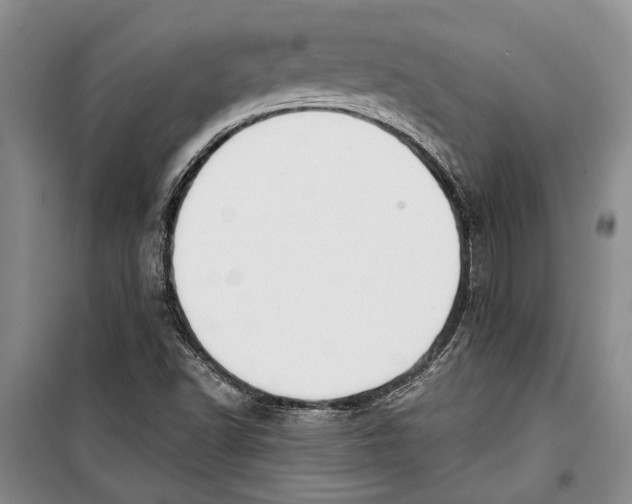 X0000098171502200805151104