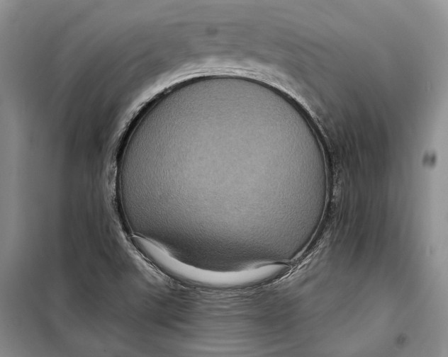 X0000098171507200805151104