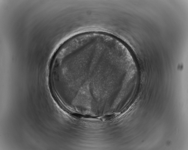 X0000098171508200805151104