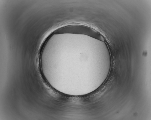 X0000098171511200805151104