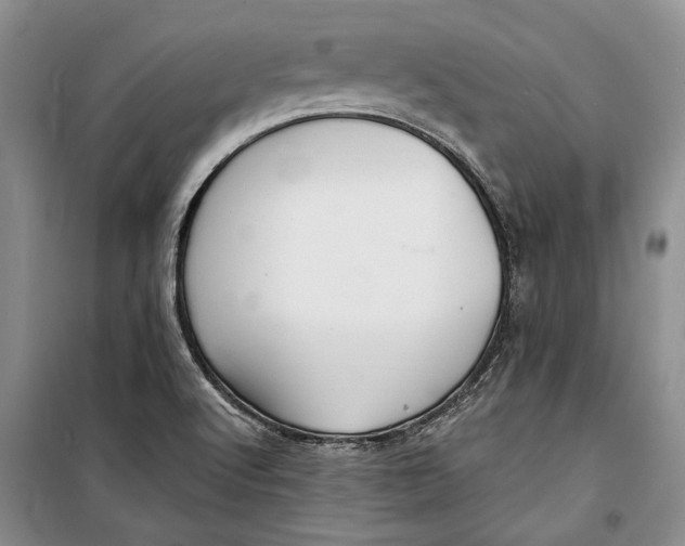 X0000098171512200805151104