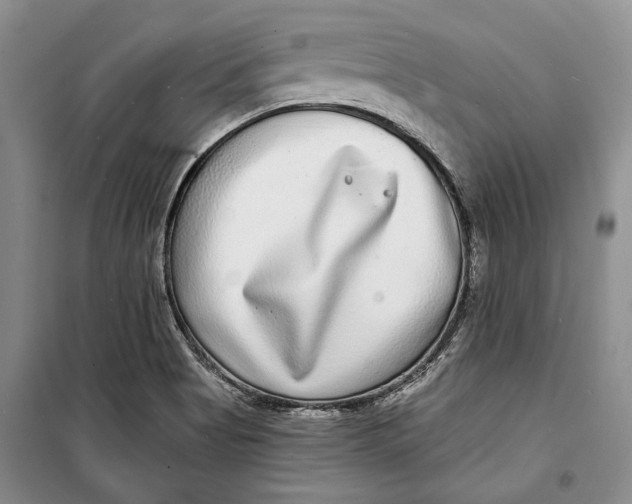 X0000098171513200805151104