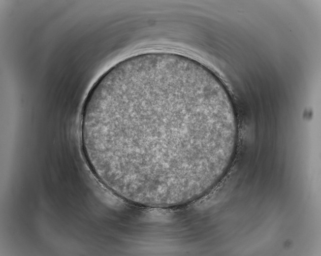 X0000098171514200805151104