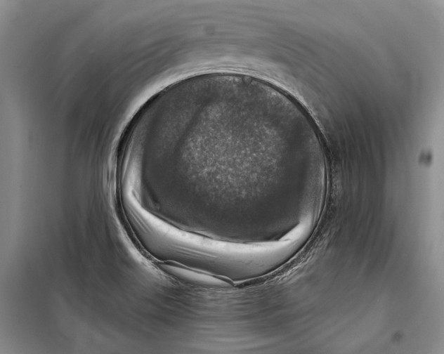 X0000098171515200805151105