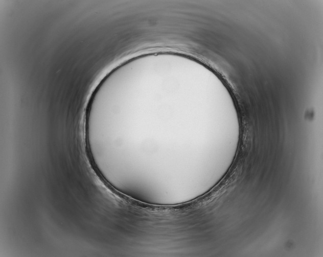 X0000098171516200805151105