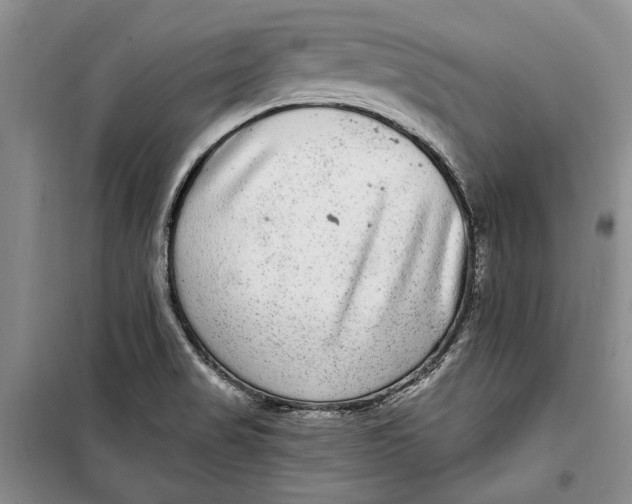 X0000098171517200805151105