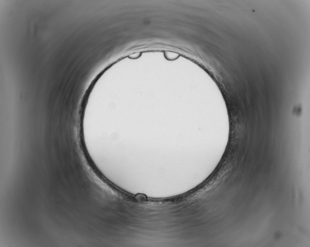 X0000098171518200805151105