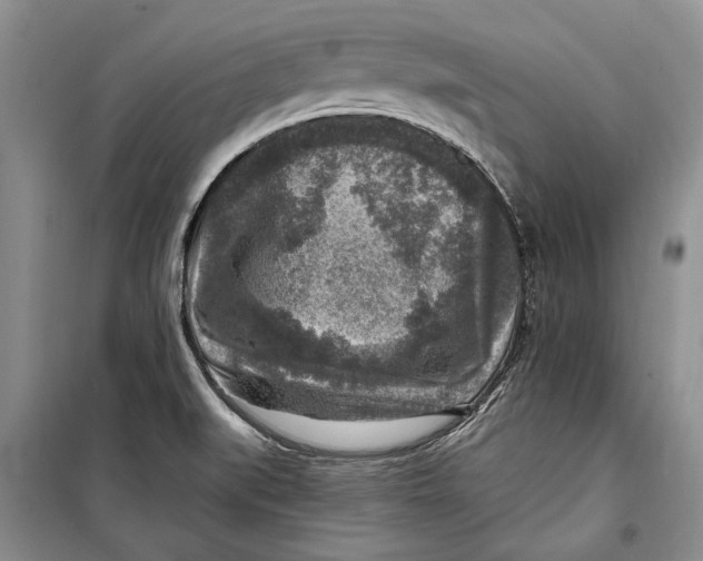 X0000098171519200805151105