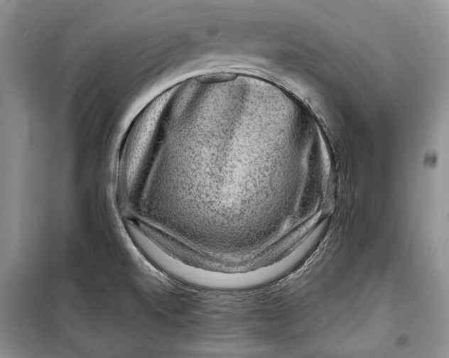 X0000098171520200805151105