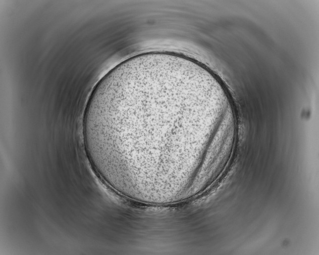 X0000098171521200805151105