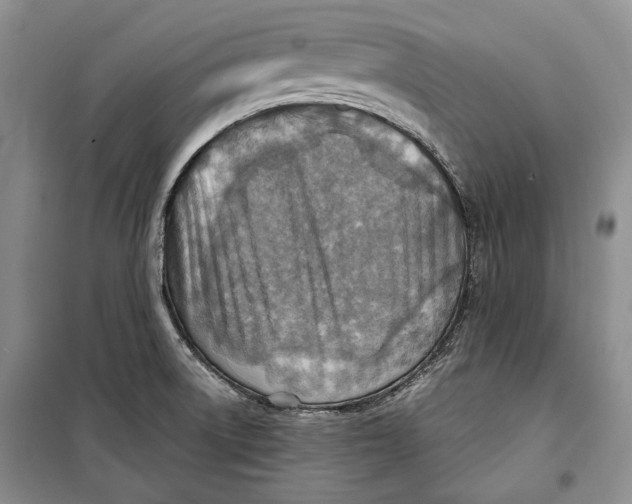 X0000098171522200805151105