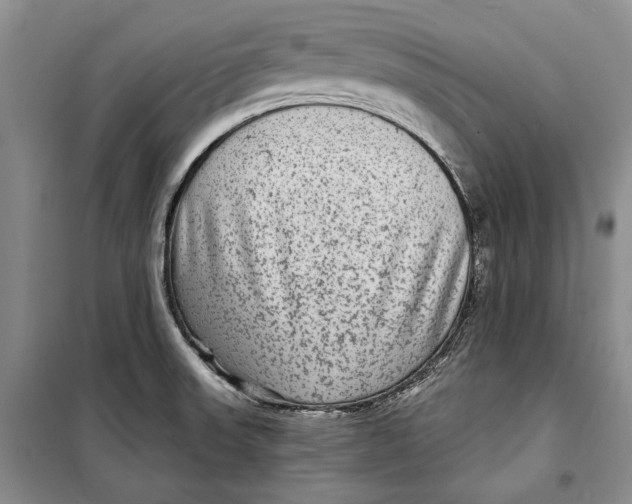 X0000098171523200805151105