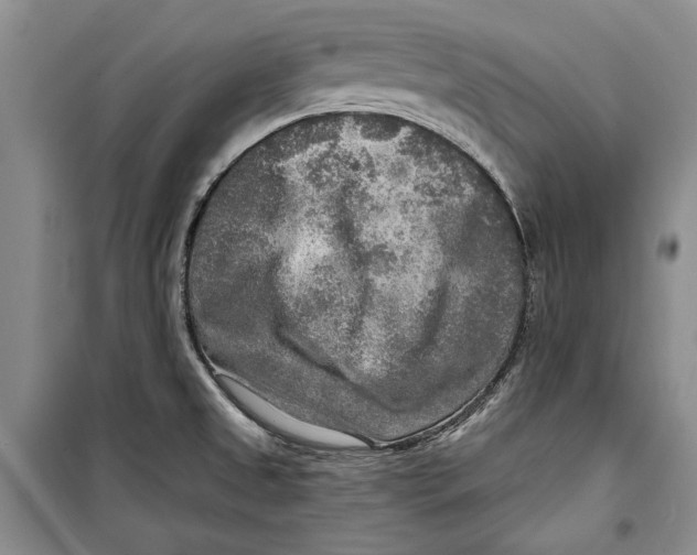 X0000098171525200805151105