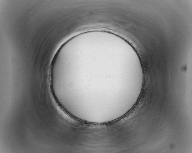 X0000098171526200805151105