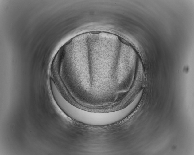 X0000098171528200805151105