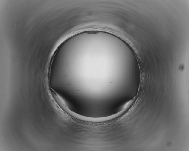 X0000098171530200805151105