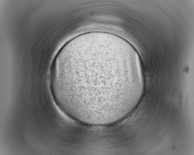 X0000098171531200805151105