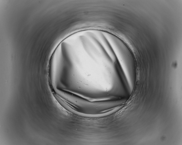 X0000098171532200805151105