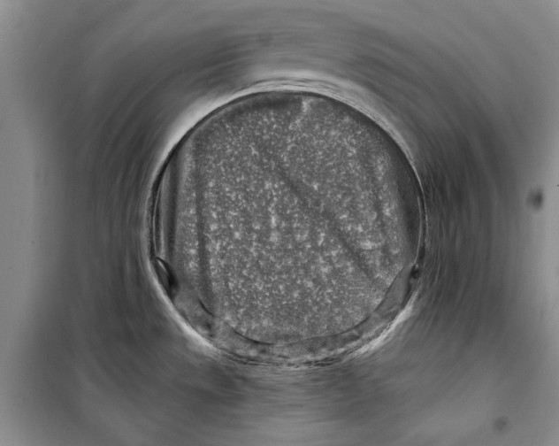 X0000098171533200805151105