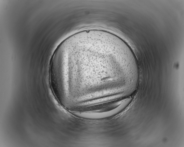 X0000098171534200805151105