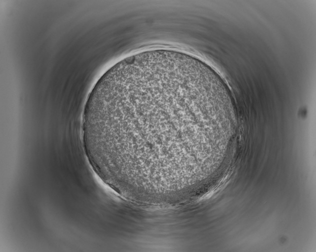 X0000098171535200805151105