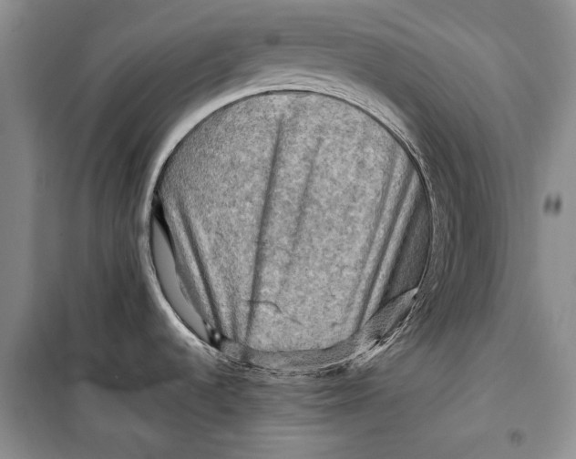 X0000098171536200805151105