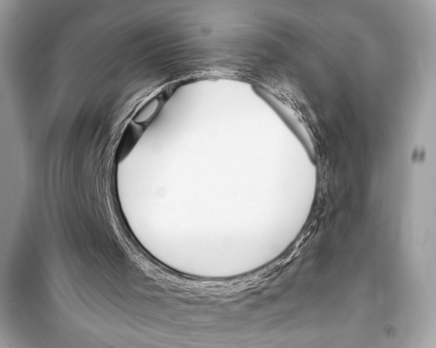 X0000098170001200805221525