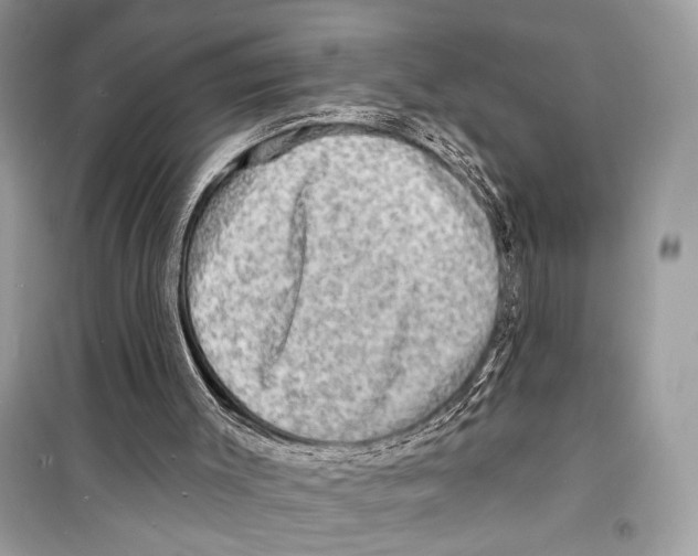 X0000098170003200805221525