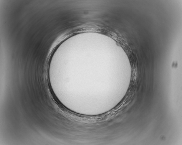 X0000098170004200805221525