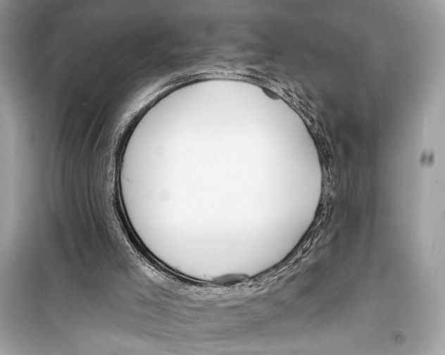 X0000098170005200805221525