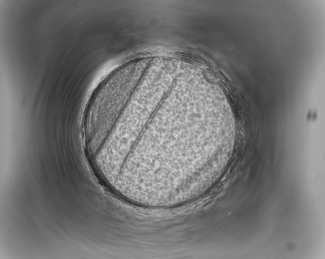 X0000098170006200805221525