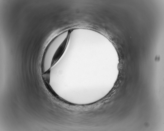 X0000098170007200805221525