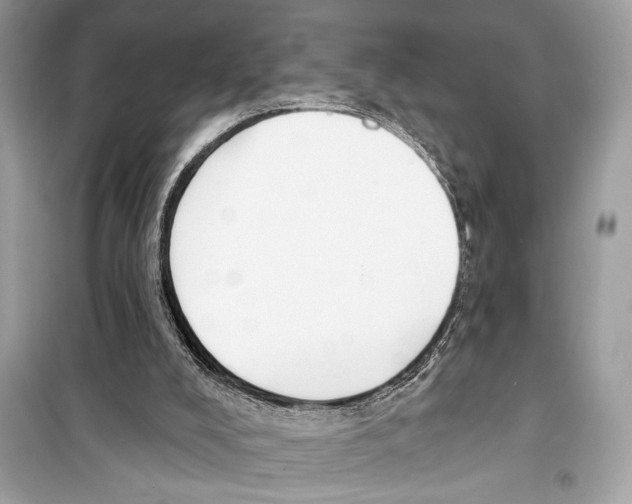 X0000098170008200805221525