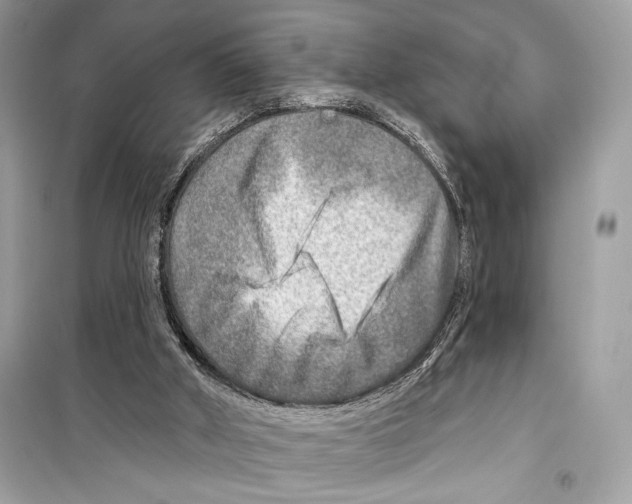 X0000098170010200805221525