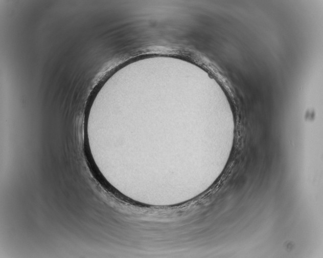 X0000098170011200805221525