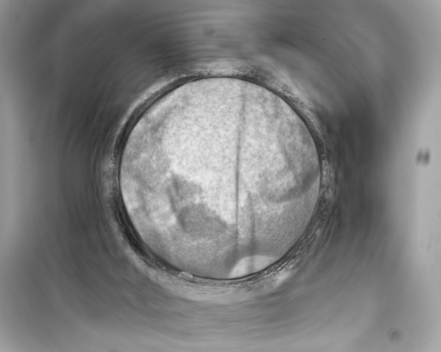 X0000098170012200805221525