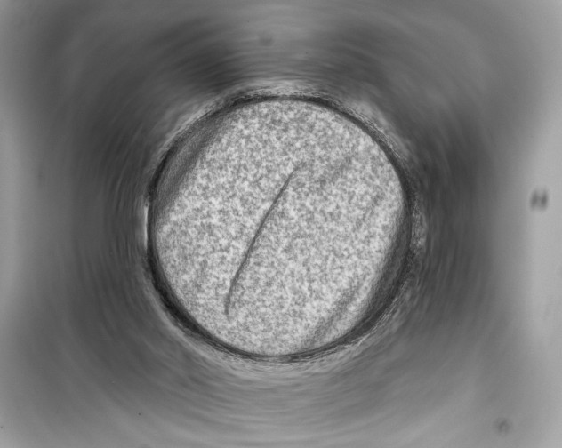 X0000098170014200805221525