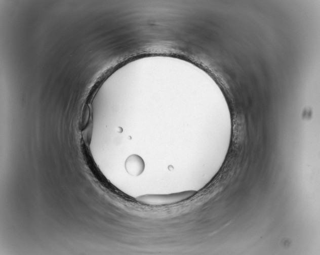 X0000098170015200805221525