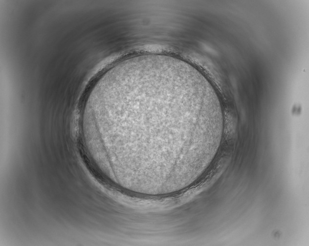 X0000098170016200805221525