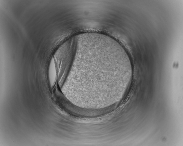 X0000098170017200805221525