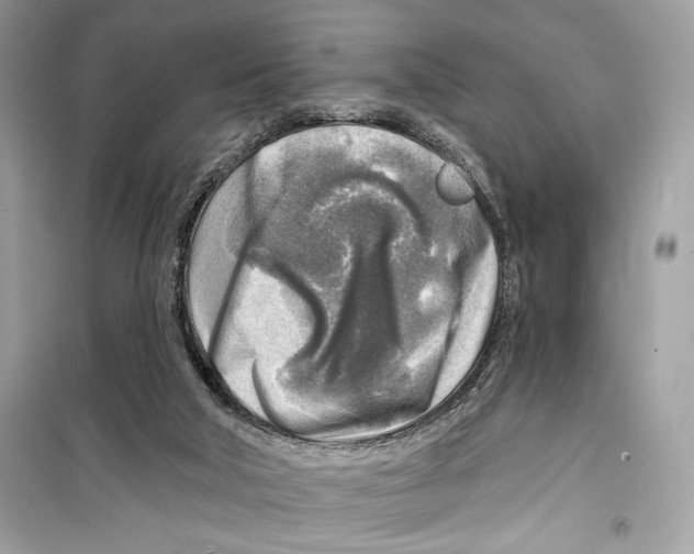 X0000098170018200805221525