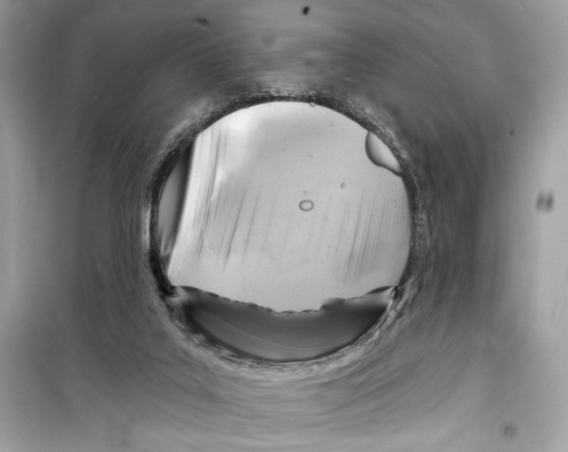 X0000098170019200805221525