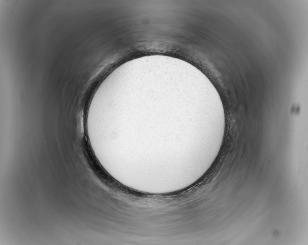 X0000098170020200805221525