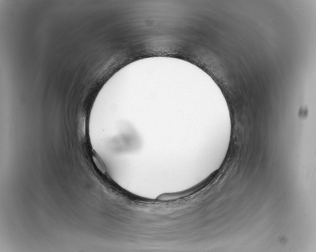 X0000098170021200805221525