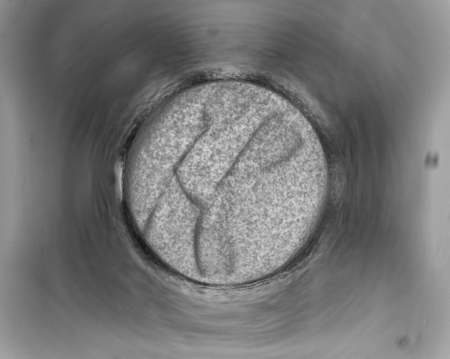 X0000098170022200805221525