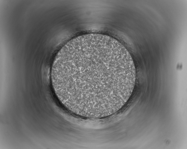 X0000098170024200805221525