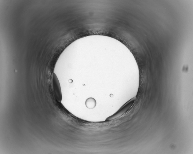 X0000098170025200805221525